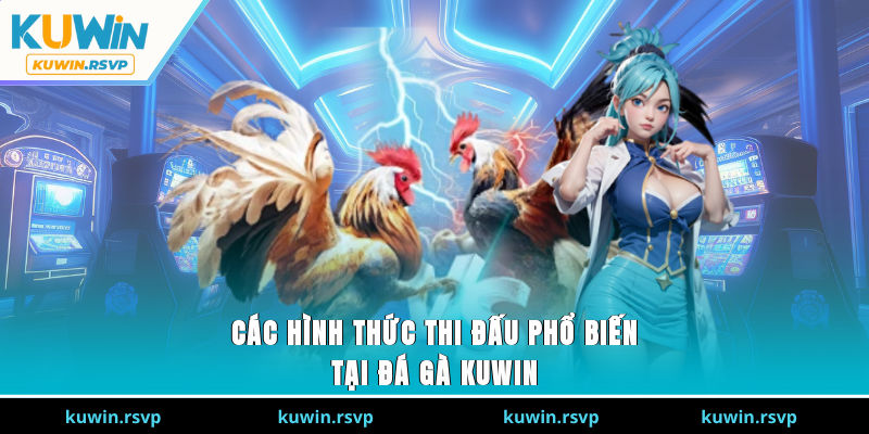 Các hình thức thi đấu phổ biến tại đá gà Kuwin