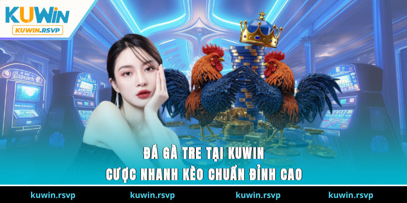 Đá Gà Tre Tại Kuwin