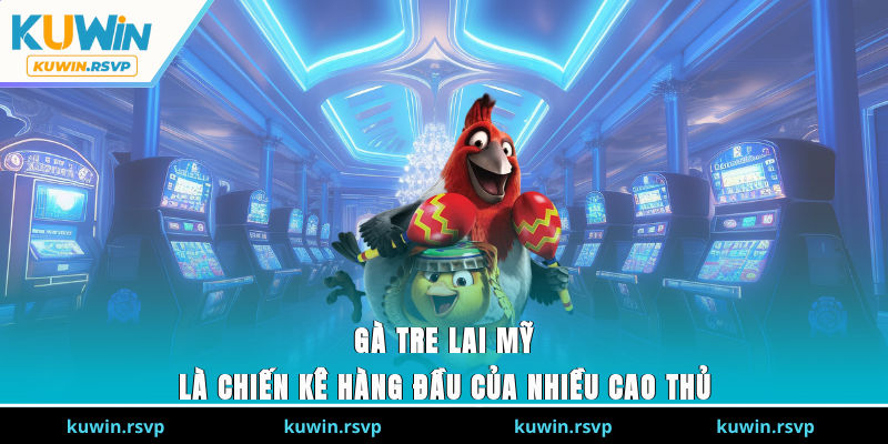 Gà tre lai Mỹ là chiến kê hàng đầu của nhiều cao thủ