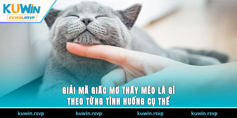 Giải mã giấc mơ thấy mèo là gì theo từng tình huống cụ thể